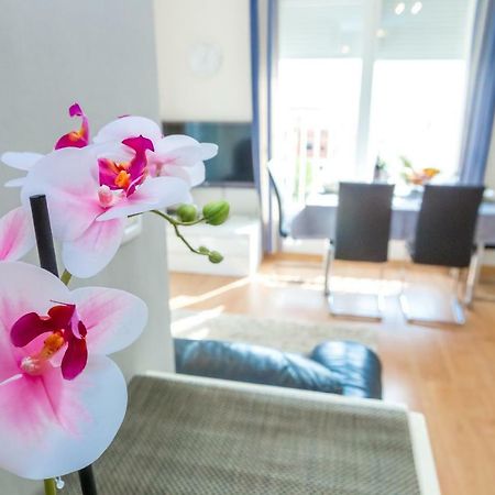 Adriana'S Dream View 2 Bedrooms Apartment 扎达尔 外观 照片